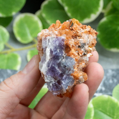 Creedite with Purple Fluorite #1