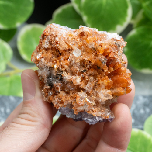 Creedite with Purple Fluorite #1