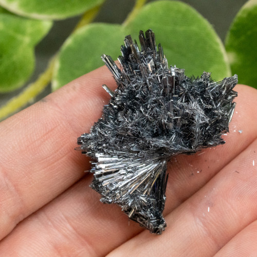 Stibnite #1
