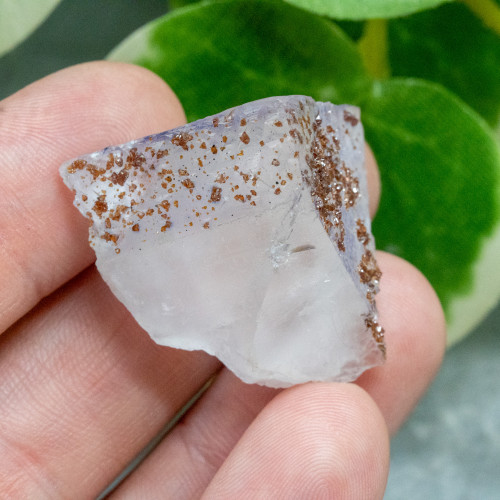 Spessartine Garnet on Fluorite #1