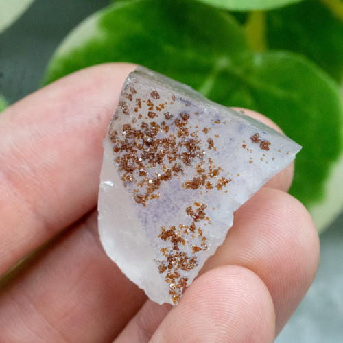 Spessartine Garnet on Fluorite #1