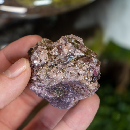 Small Watermelon Tourmaline #3