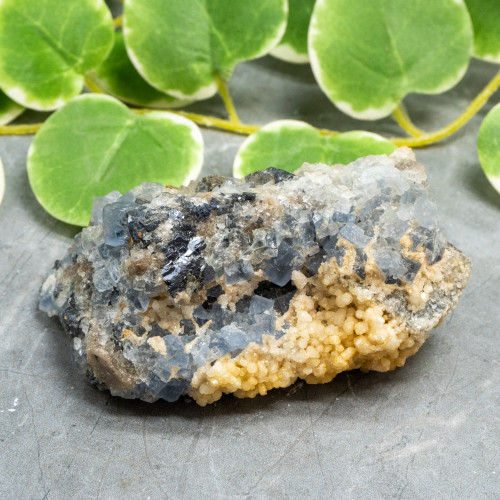 Blue Fluorite with Galena and Quartz #1