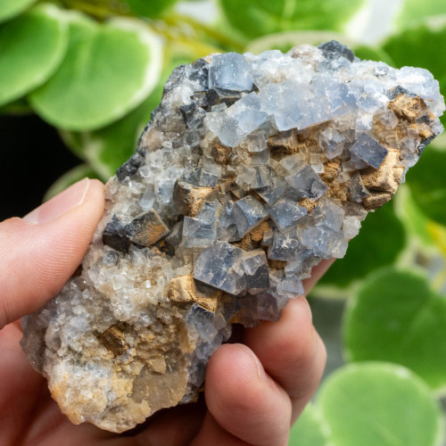 Blue Fluorite with Galena and Quartz #1