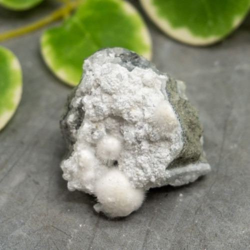 Okenite with Gyrolite #8