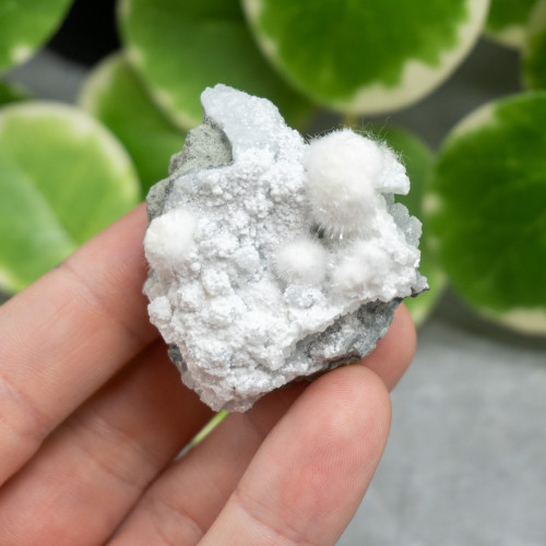 Okenite with Gyrolite #8