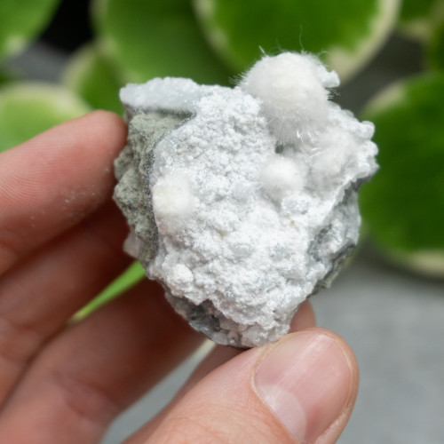 Okenite with Gyrolite #8