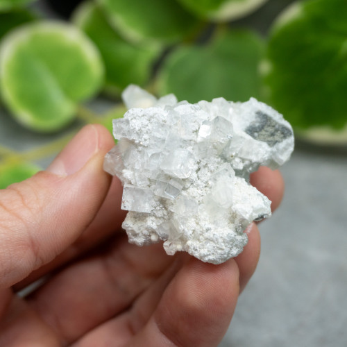 Okenite with Apophyllite #7