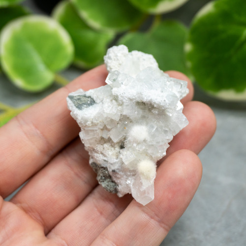 Okenite with Apophyllite #7