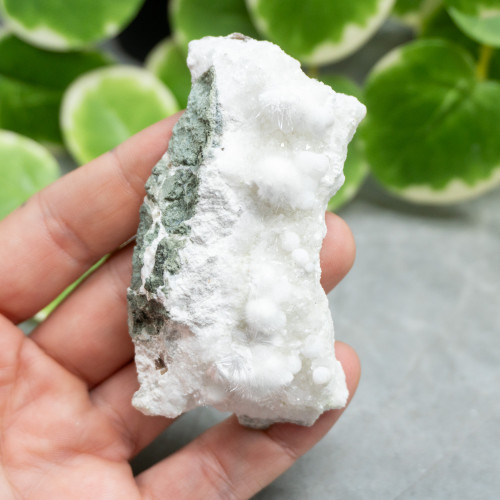 Okenite with Gyrolite #6