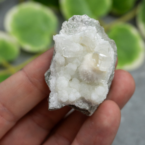 Okenite with Quartz #5