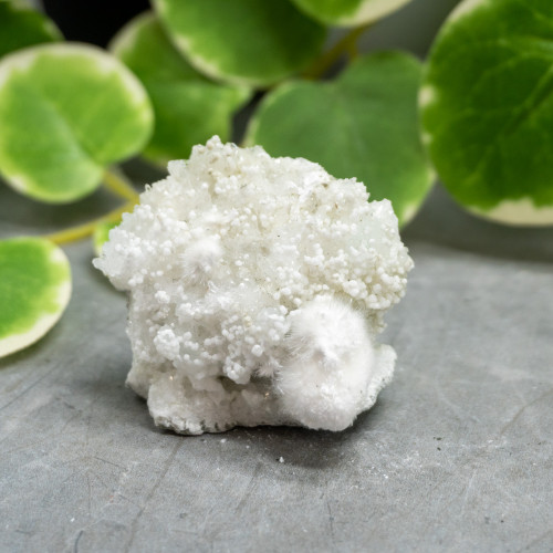 Okenite with Gyrolite #4