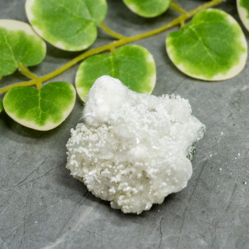 Okenite with Gyrolite #4