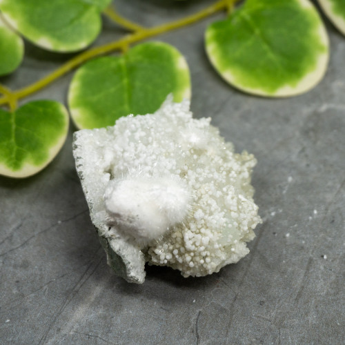 Okenite with Gyrolite #4