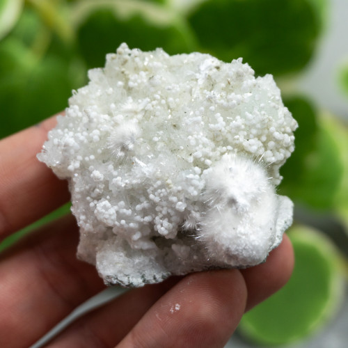 Okenite with Gyrolite #4