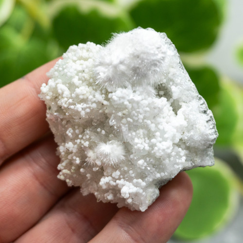 Okenite with Gyrolite #4