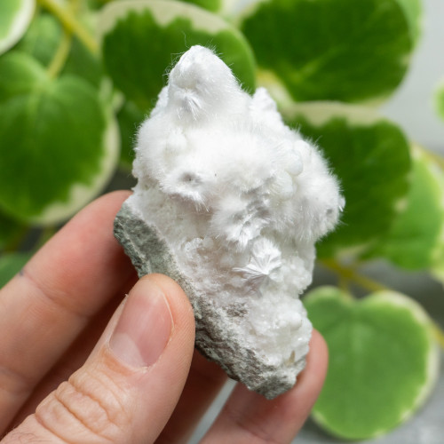 Okenite with Quartz #3