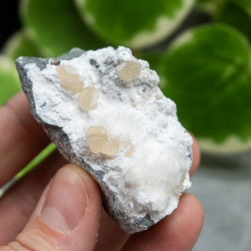 Okenite with Stilbite #2