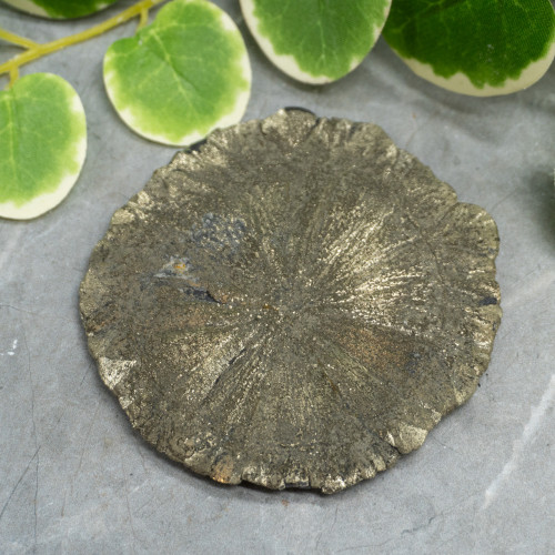 Pyrite Sun #5