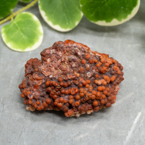 Red Grape Agate #15