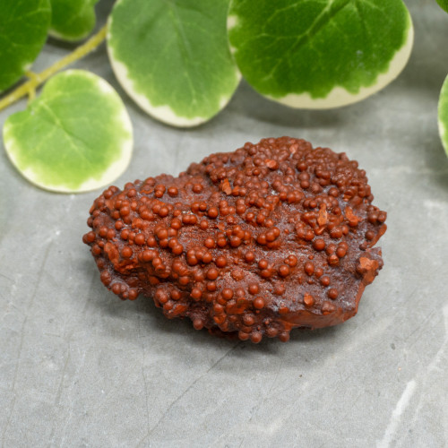 Red Grape Agate #12