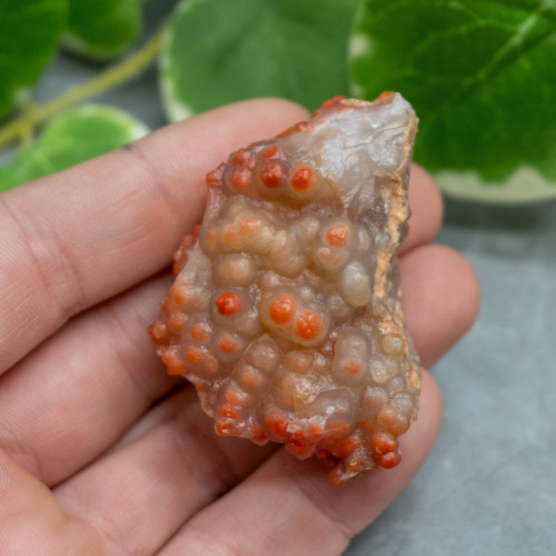 Red Grape Agate #10