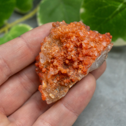 Red Grape Agate #10