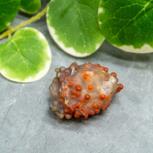 Red Grape Agate #9