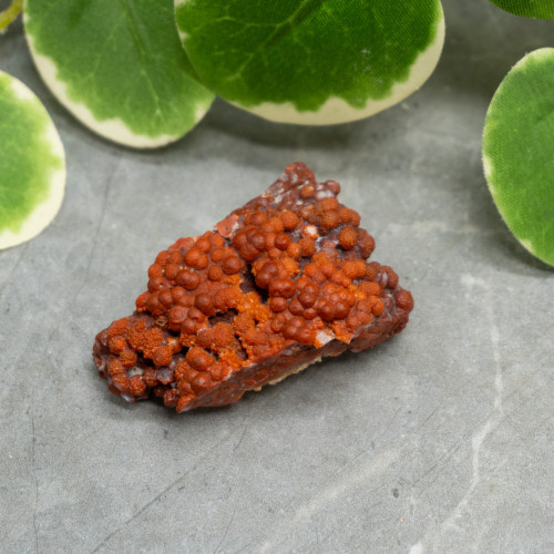Red Grape Agate #7