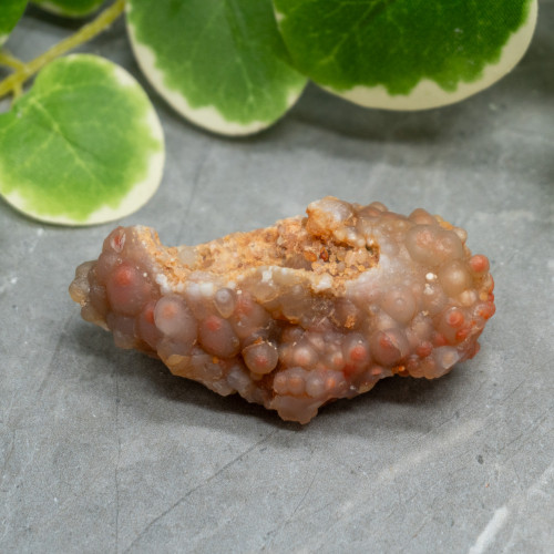Red Grape Agate #6