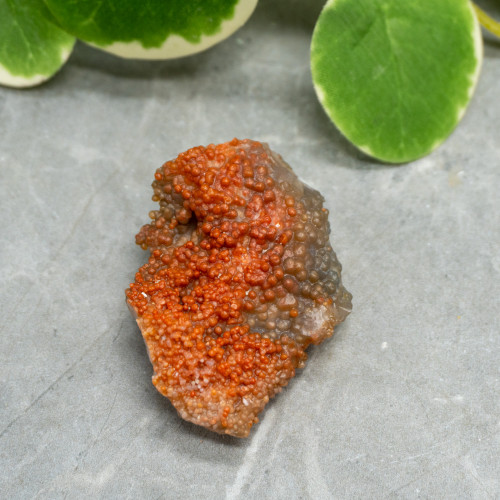 Red Grape Agate #2