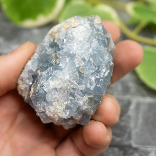 Celestite #16