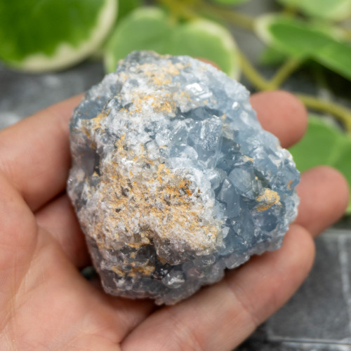 Celestite #16