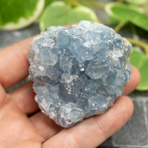 Celestite #16