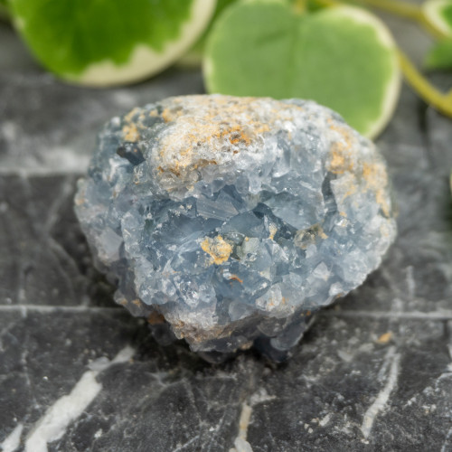 Celestite #16