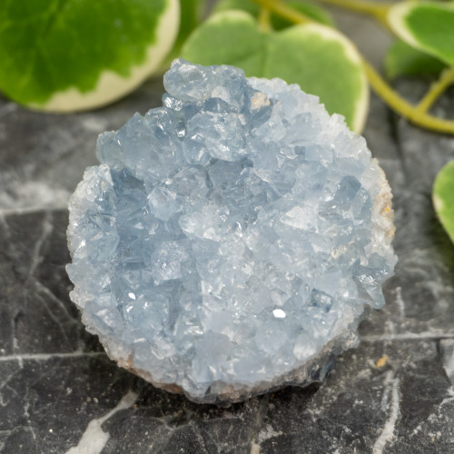Celestite #15