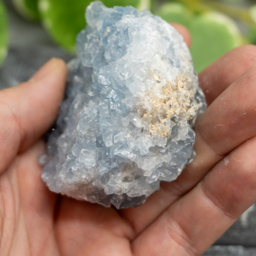 Celestite #15