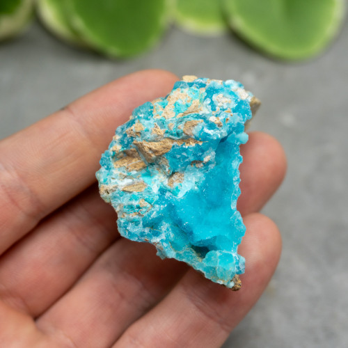 Blue Hemimorphite #4