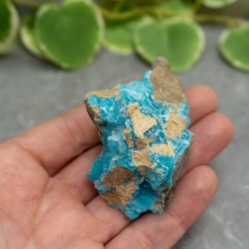 Blue Hemimorphite #1