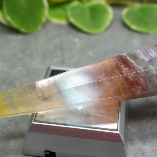 Rainbow Fluorite Mounted Point #5