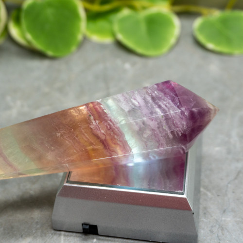 Rainbow Fluorite Mounted Point #5
