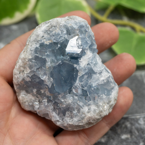 Celestite #13
