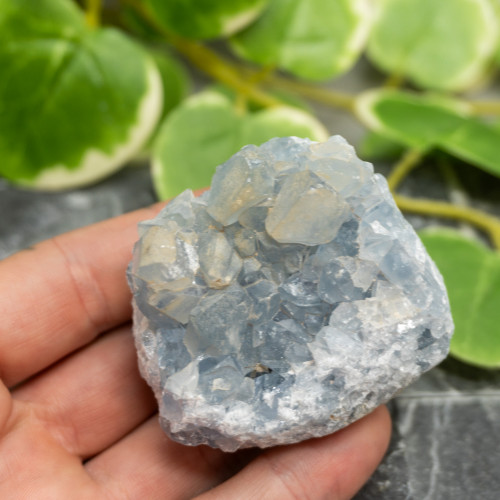 Celestite #11