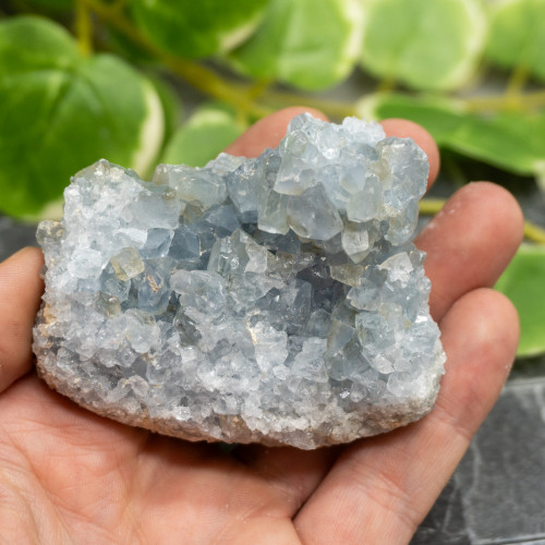 Celestite #10