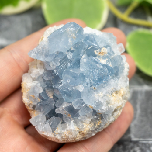 Celestite #9