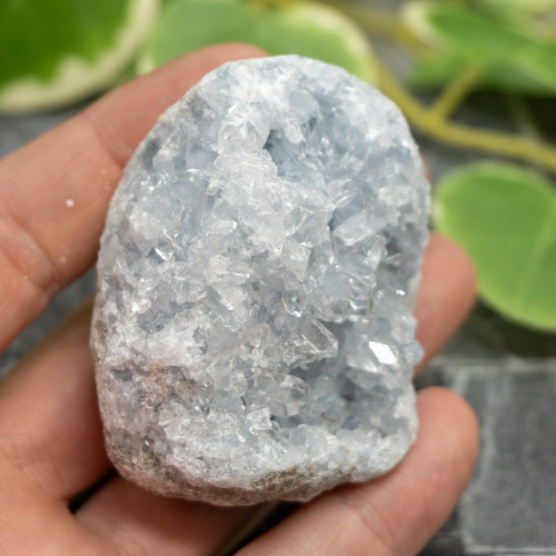 Celestite #8