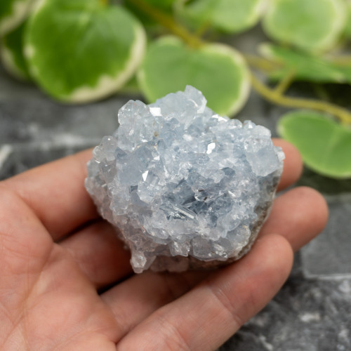 Celestite #6