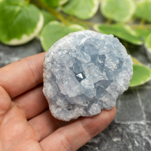 Celestite #5