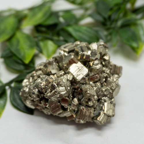 Pyrite #19
