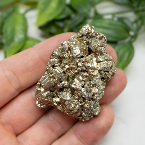 Pyrite #18